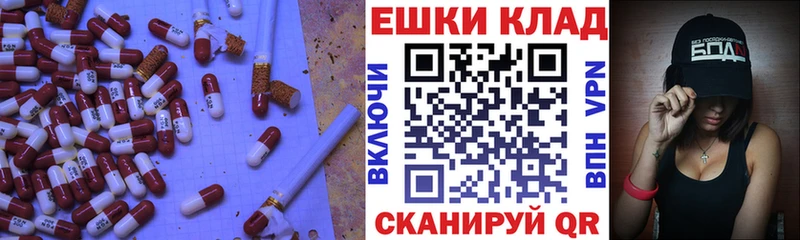 OMG   цена наркотик  Кедровый  Ecstasy Philipp Plein 