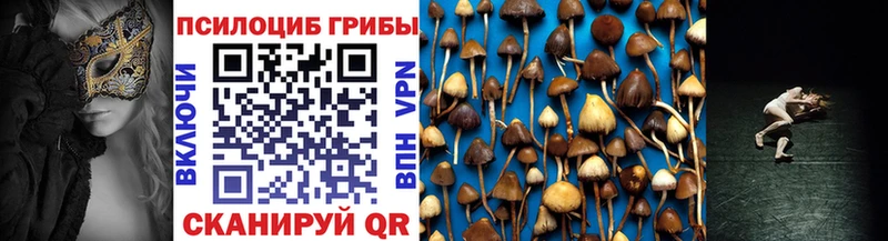 Псилоцибиновые грибы прущие грибы  kraken вход  Кедровый 