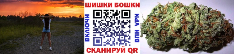 Марихуана семена  Кедровый 